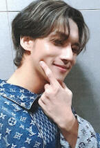 wy diary limited fever2